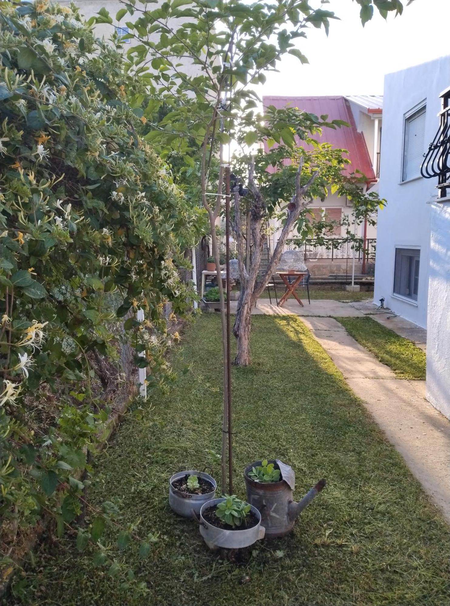 Θαλασσινή Αυρα Villa Nea Vrasna Luaran gambar