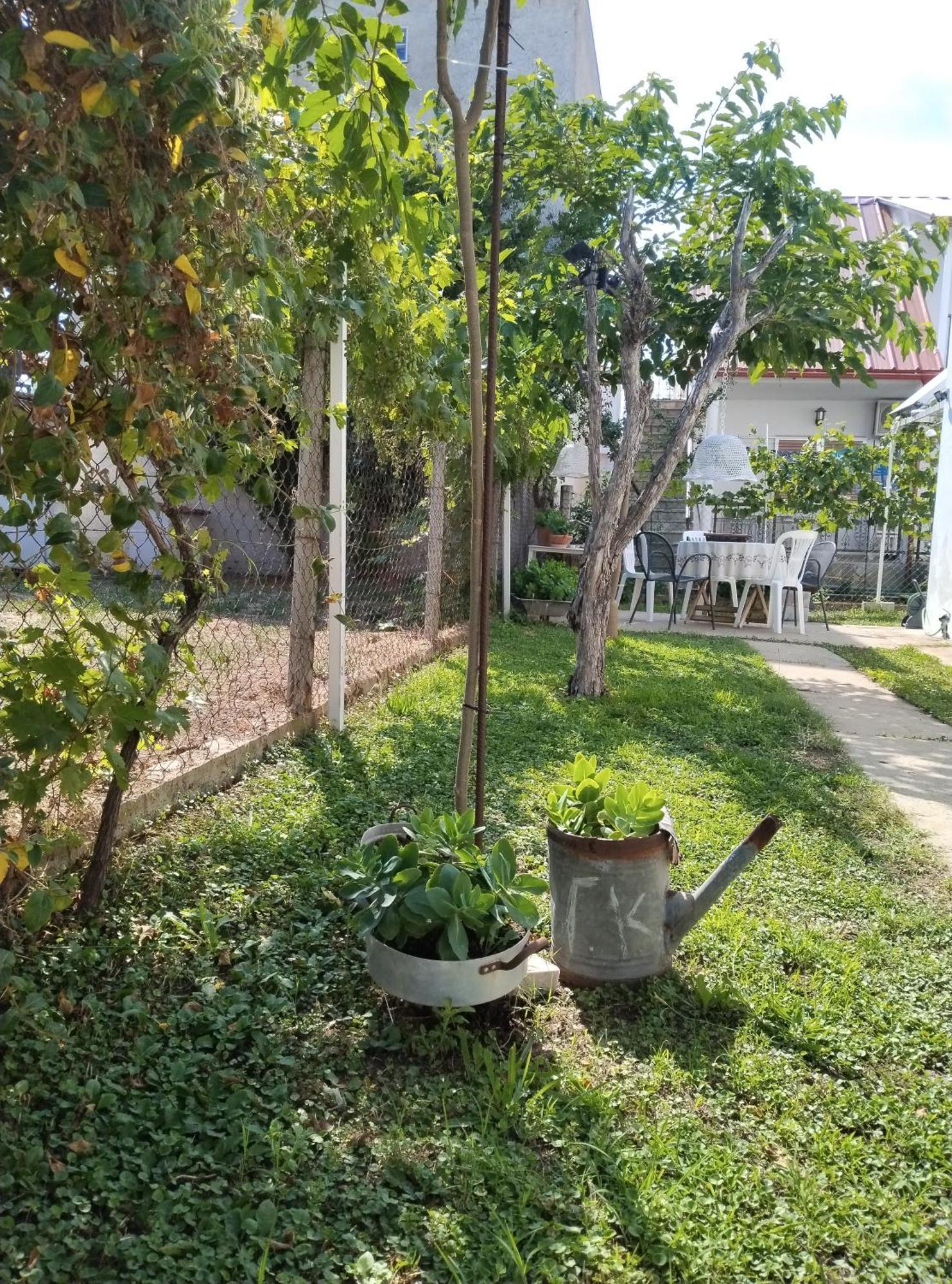 Θαλασσινή Αυρα Villa Nea Vrasna Luaran gambar